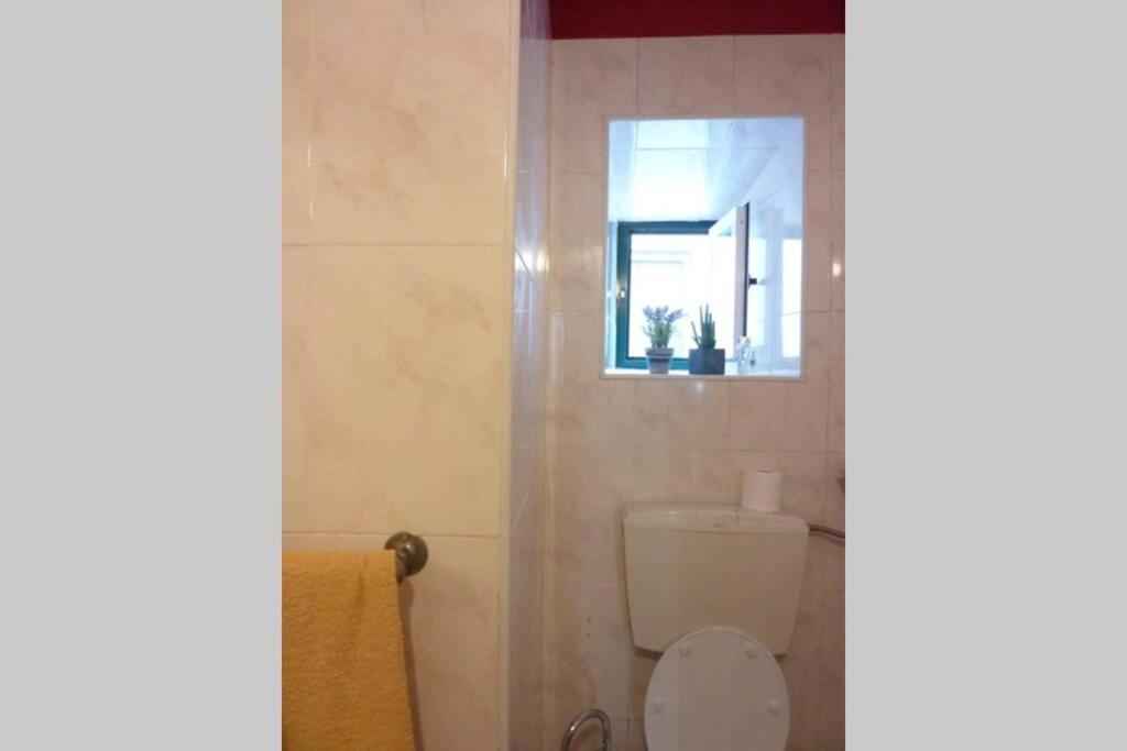 코임브라 Casa Da Carqueja 1 아파트 외부 사진