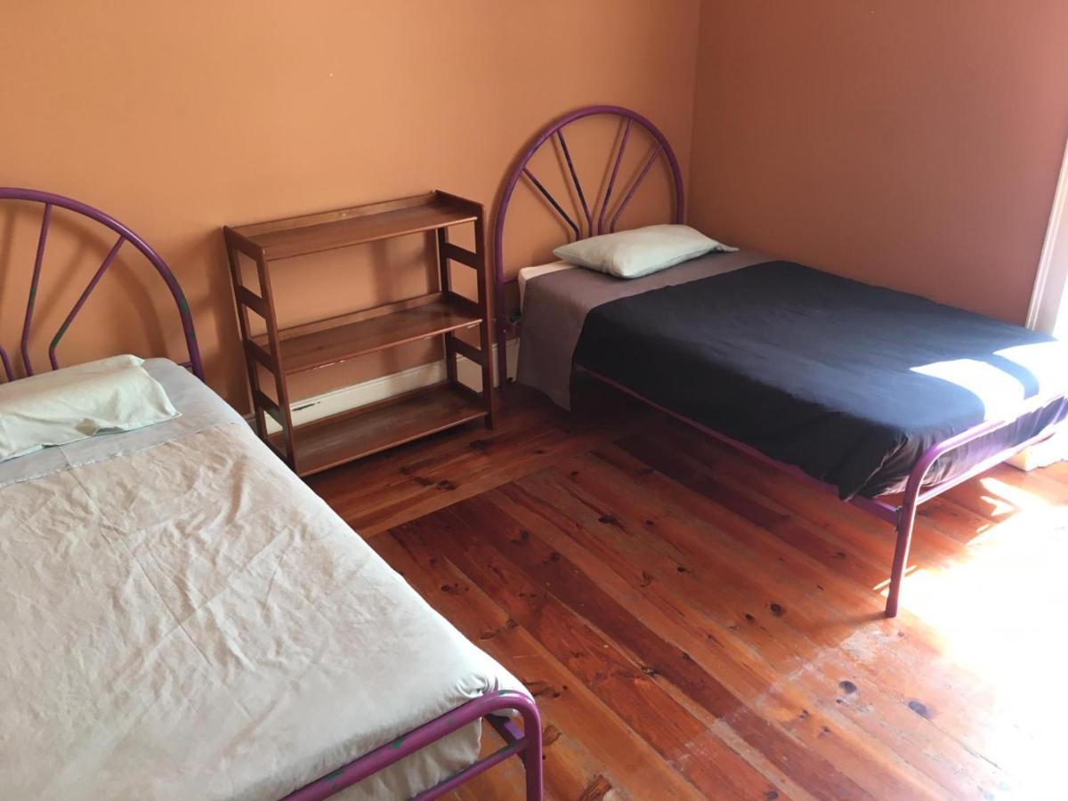 코임브라 Casa Da Carqueja 1 아파트 외부 사진